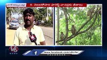 Forest Watchers Facing Issues With Salaries _ Nagar Kurnool  | V6 News