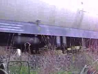 18.03.2008 BB  27000 et fret à Dole