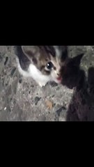 ANUNG NANGYARI SA MATA MO? | SIMPLY MAMU