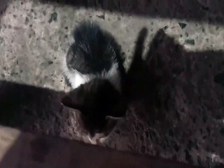 WHITE AND BLACK | SIMPLY MAMU