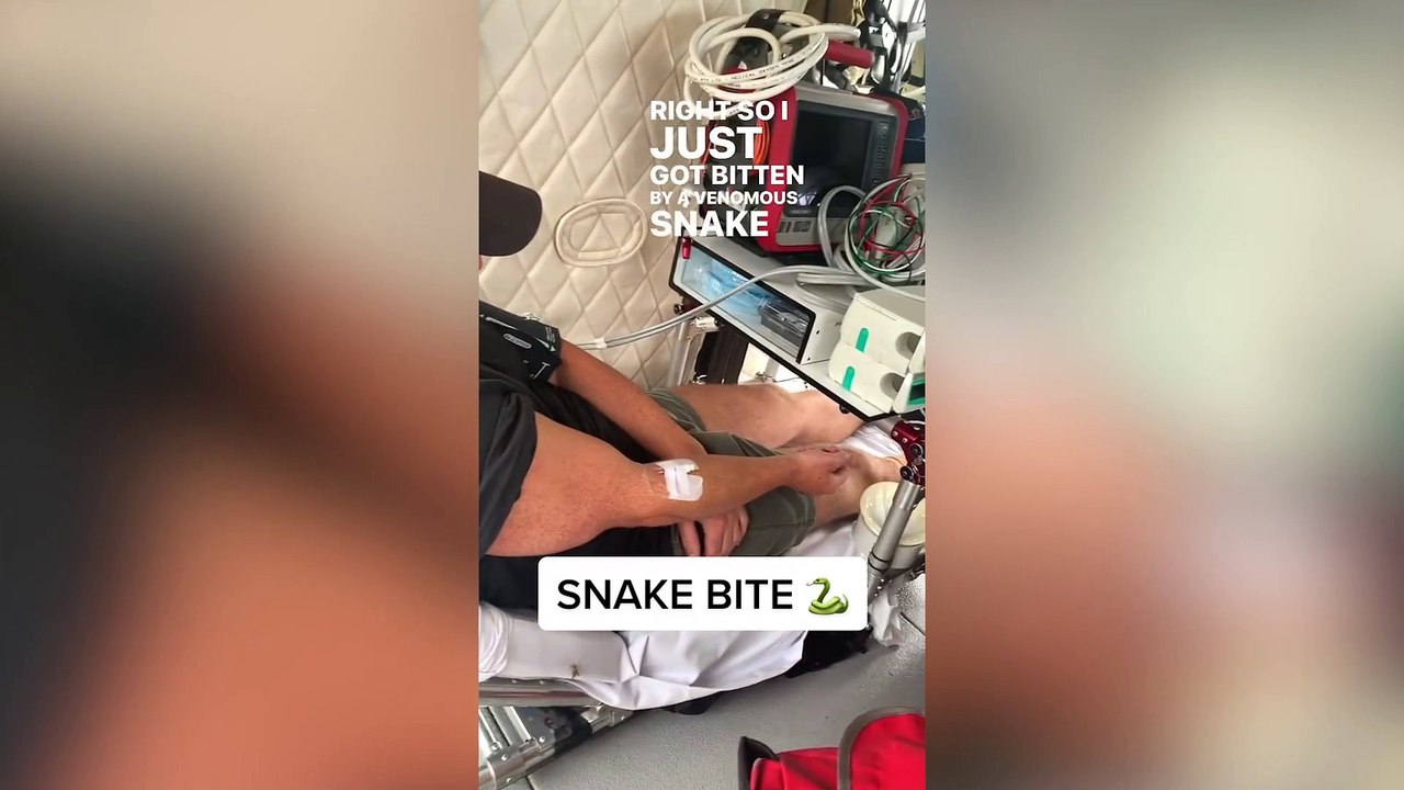 Couple's camping trip turns into nightmare after boyfriend gets bitten by one of the world's most deadly snakes