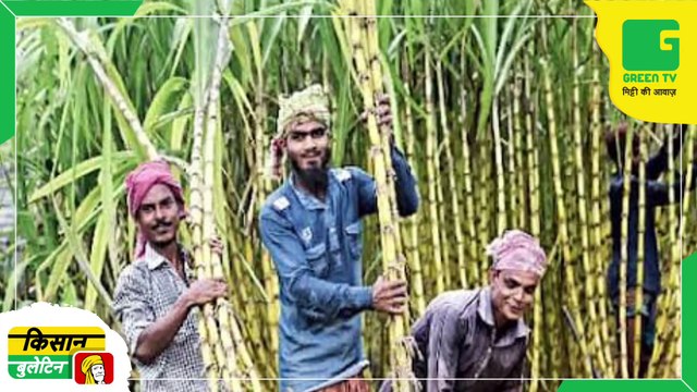 Kisan Bulletin 25 January 2023 - गन्ने की कीमतों में हुई 10 रूपये प्रति क्विंटल की बढ़ोत्तरी | किसान कल्याण योजना | Kisan Bulletin