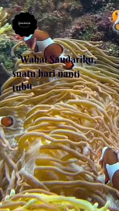 Hari pertamamu memakai hijab#short#shorts#dailymotionshort
