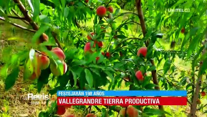 Con ambrosía, baile y exquisita gastronomía así festejan los residentes vallegrandinos su Grito Libertario