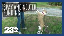 Funding increase for spay and neuter groups in Kern County