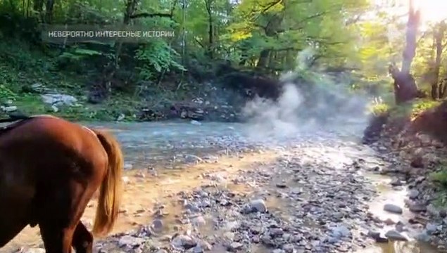 Невероятно интересные истории (эфир от 25.01.2023)