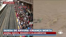 Criança morre após ser atingida por árvore durante chuva 25/01/2023 12:30:48