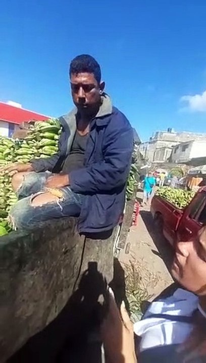 Pro Consumidor: Comienzan a estabilizarse precios del plátano y otros productos agrícolas