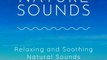 Welcome to Our Nature Sounds - relaxing and soothing natural voices #shorts #ytshorts #intro