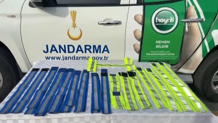 Jandarma ekipleri sahipsiz köpeklere reflektörlü tasma taktı