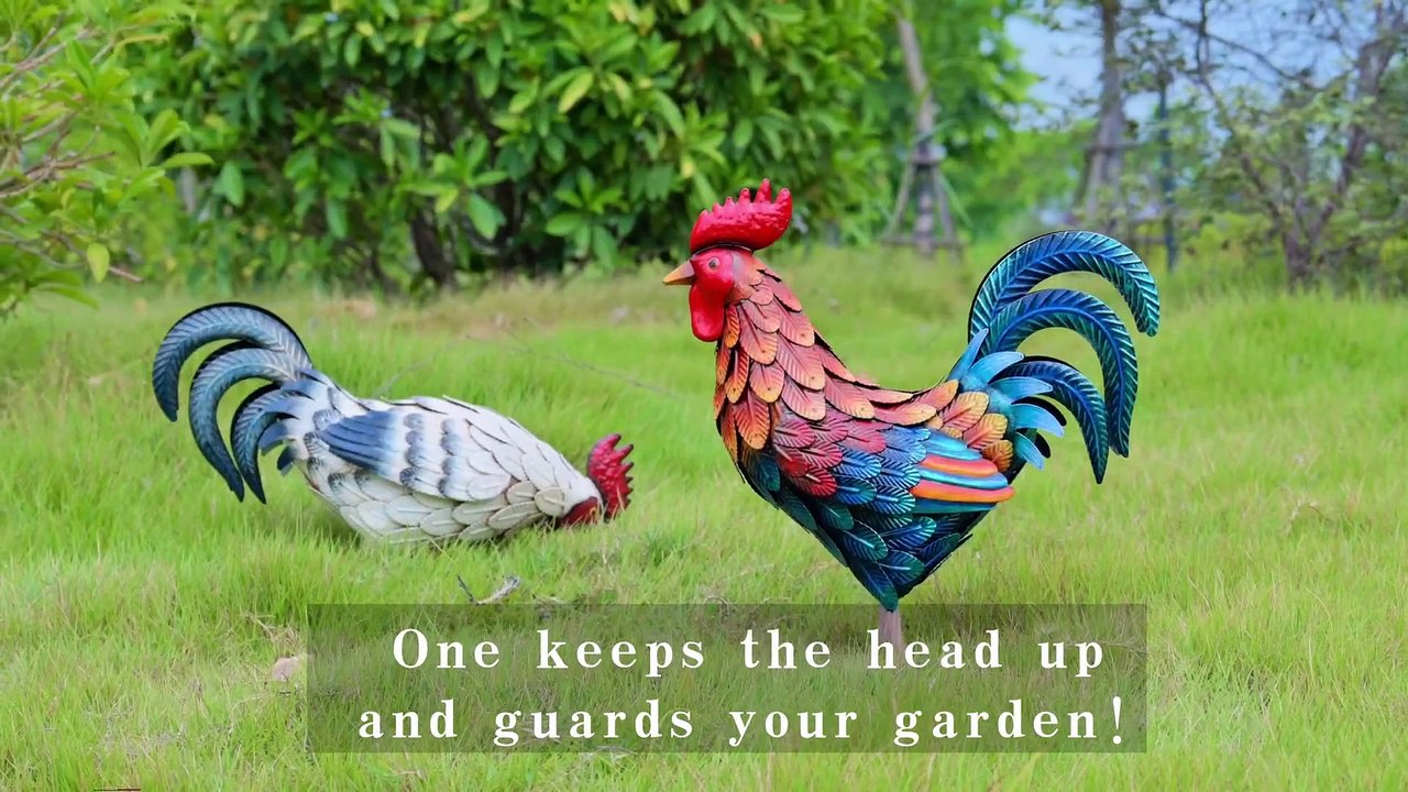 Shorayn Metal Rooster Statues, Outdoor Garden Statues, Metal Chicken Decor, Garden Sculptures & Statues, Chicken Ornaments Yard Art for Backyard Patio Lawn Decorations, Set of 2 Patio, Lawn & Garden