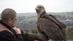 Eynsford falconers call for greater education around the UK's biggest bird
