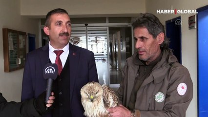 Bitkin halde bulundu, tedaviye alındı