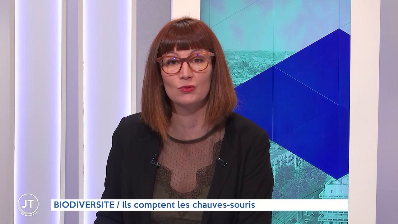 BIODIVERSITÉ / Ils comptent les chauves-souris