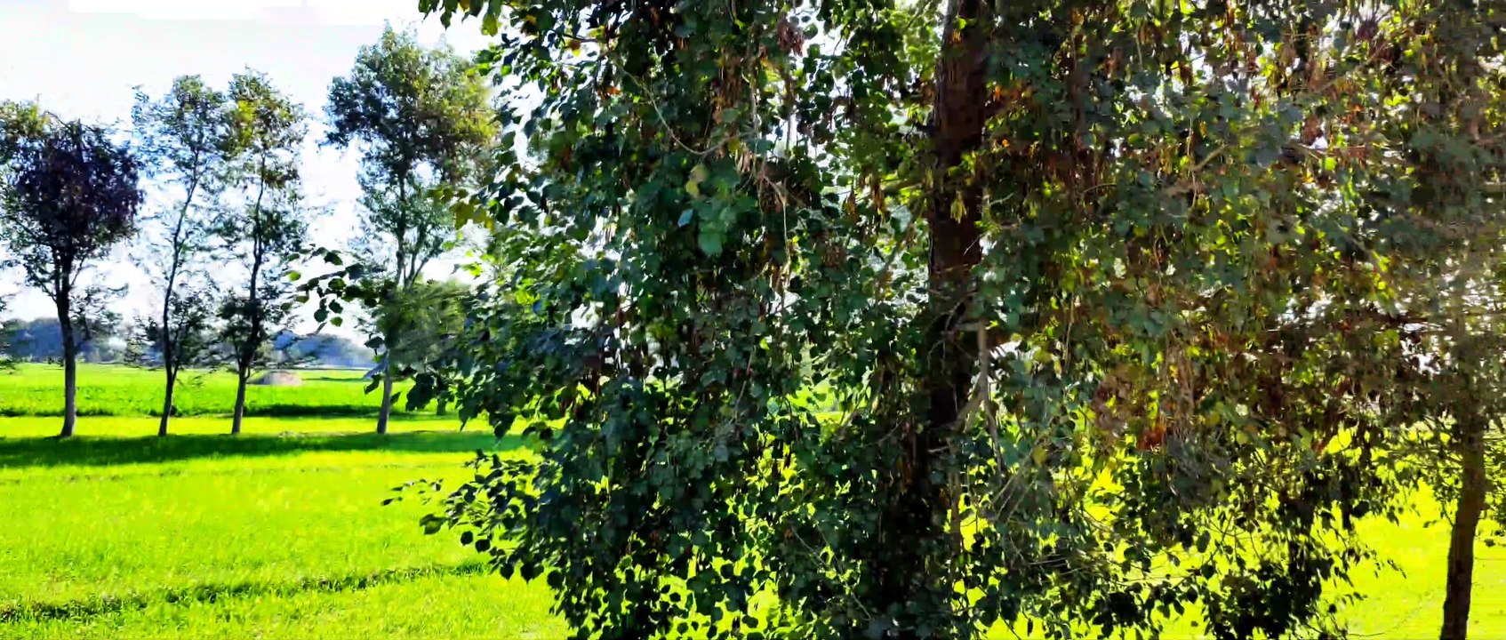 My village in Pakistan