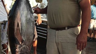Maryland Albacore Tuna Record Broken