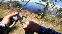 Catching BIG Bass on BIG Jigs (Pond Fishing)