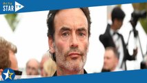 « Très mauvais ! »: Anthony Delon furieux, son coup de gueule contre une star internationale