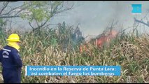 Incendio en la Reserva de Punta Lara: así combaten el fuego los bomberos