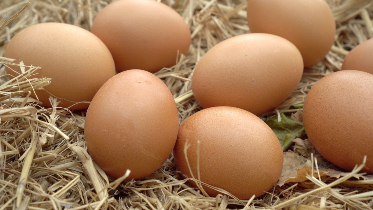 Why Are Eggs So Expensive Right Now