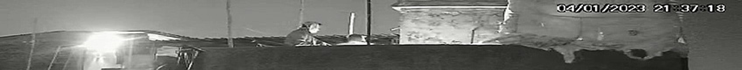 L32.2-If not, Latrine Making Phase-Kolkata||Calcutta then Aliens!