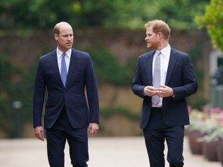 Harry Drops Another Bombshell: THIS Story About Him and William Is A Lie