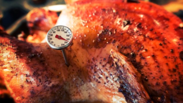 What's the Difference Between a Meat Thermometer and a Candy Thermometer?