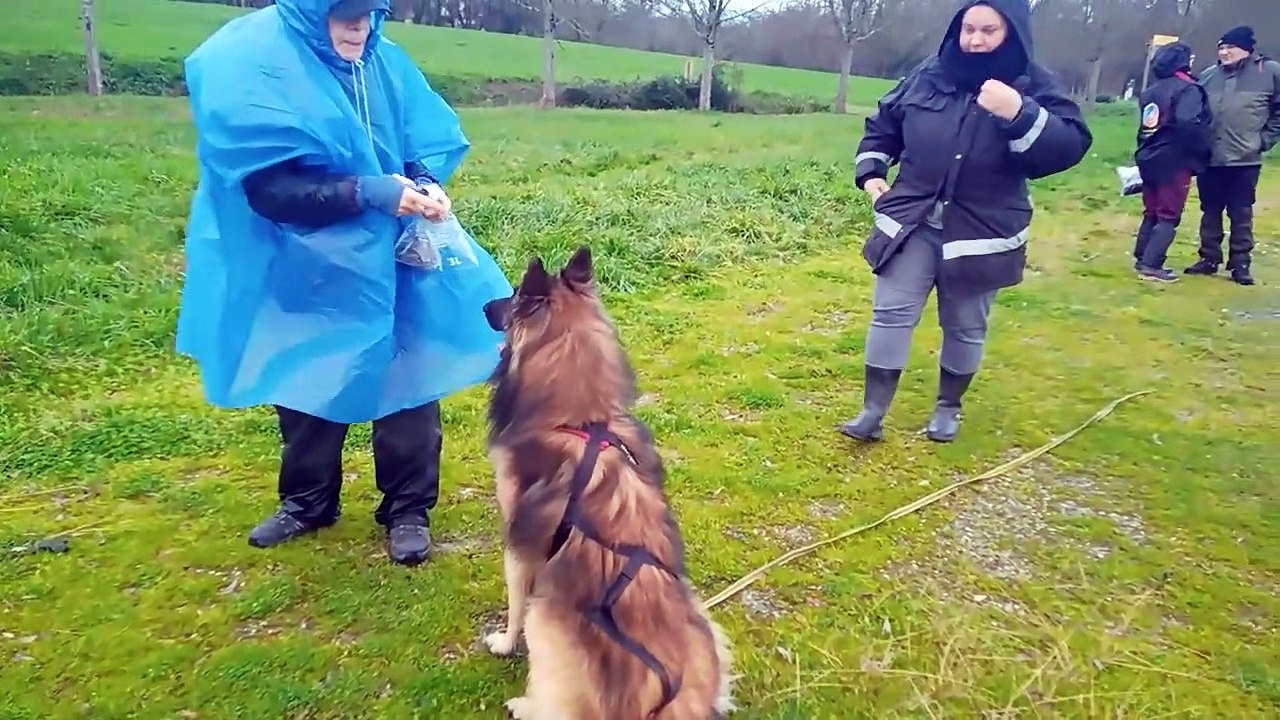 sheyenne le 10 01 23 ‐ Vidéo Dailymotion