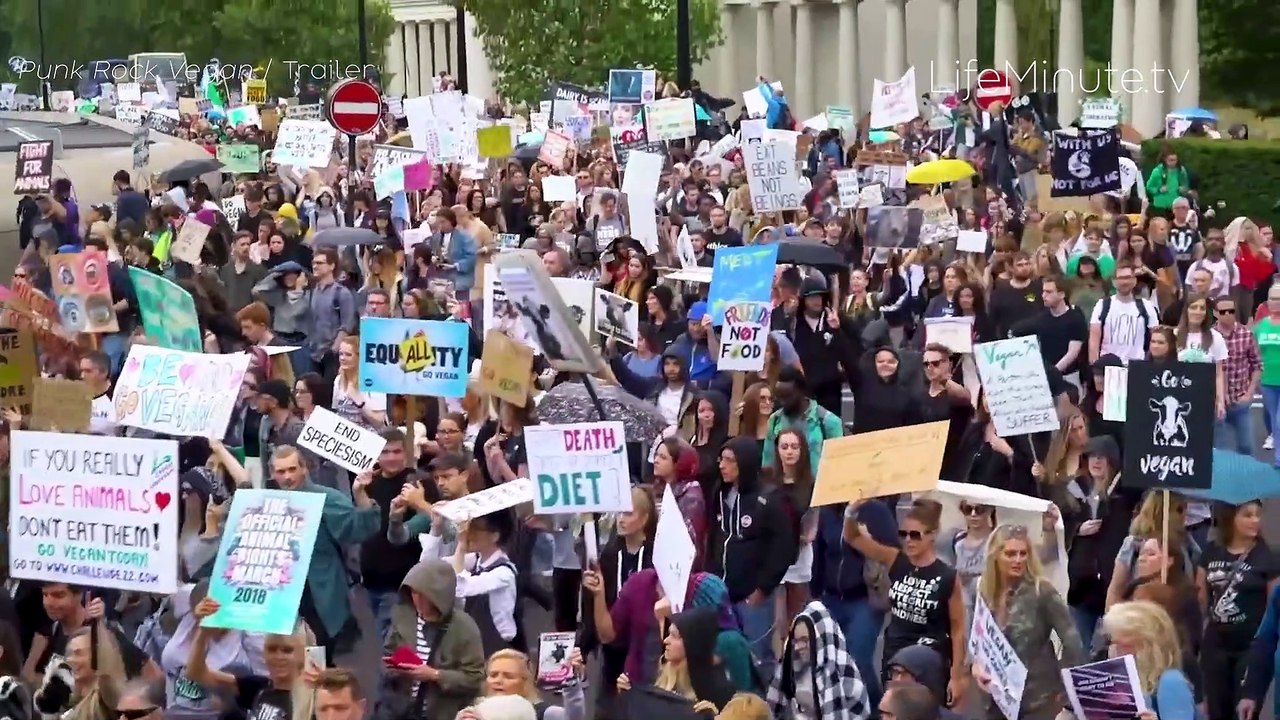 Moby Explores the Relationship Between Punk Rock Artists and the Animal Rights Movement in New Documentary, PUNK ROCK VEGAN MOVIE