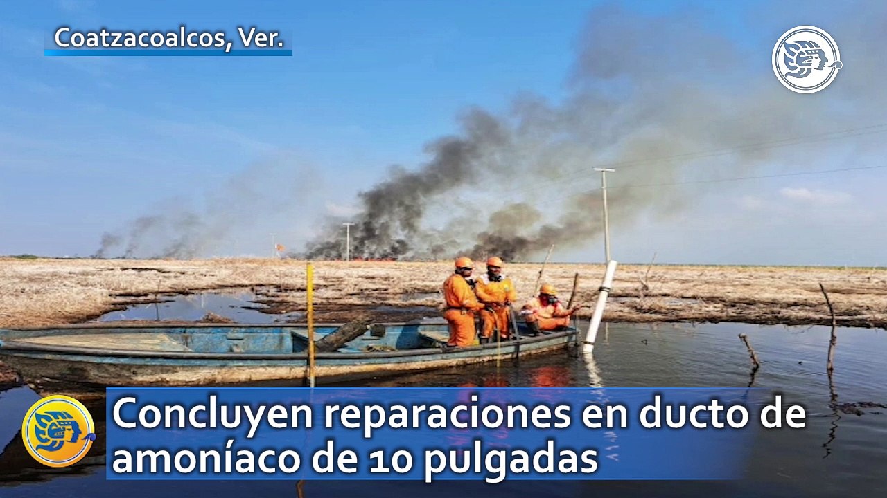 Concluyen reparaciones en ducto de amoniaco de 10 pulgadas que conecta el C P C – Pajaritos