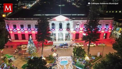 Perro muere tras defender a su dueña de un asalto en zona turística de Veracruz