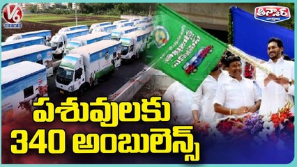AP CM YS Jagan Flags Off 340 Veterinary Ambulances For Animal Welfare | V6 Teenmaar