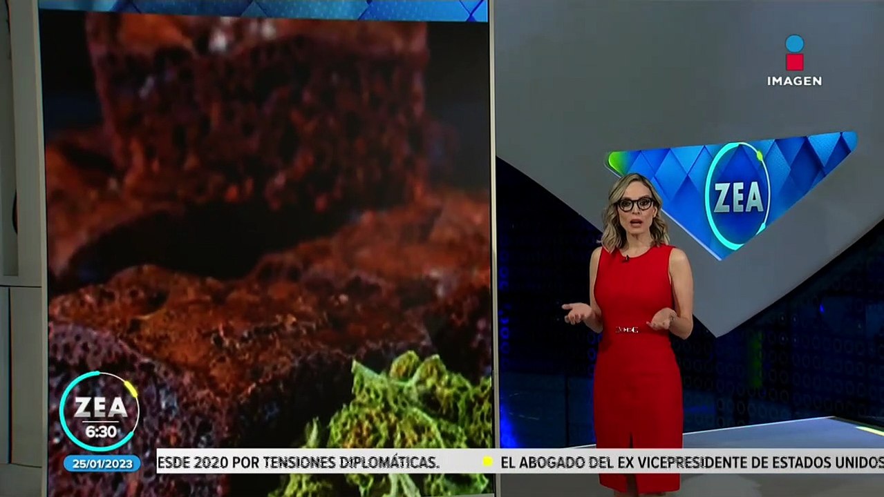 Estudiantes se intoxican con brownies de marihuana en Cuautla