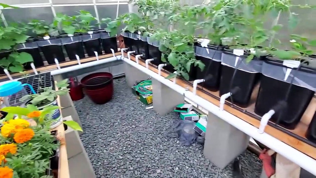 Overview of Harbor Freight Greenhouse & Hydroponics video Dailymotion