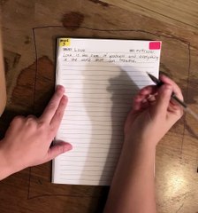 Page 3 of BOOK TWO - SUBJECTS OF LIFE being written