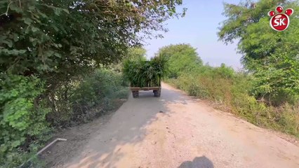 Yamuna river beauty burari big news toxic