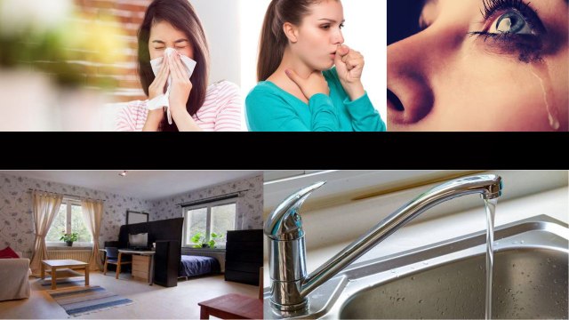 Vastu Tips - ఇంట్లో మహిళలకు ఎప్పుడూ రోగాలా? అయితే ఇలా చేయండి *Astrology | Telugu OneIndia