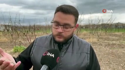 1500 yıllık tarih şeftali bahçesinden çıktı