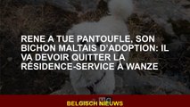 René a tué Pantoufle, son bichon maltais par adoption: il devra quitter le service de service à Wanz
