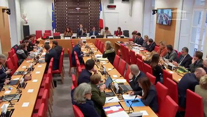 Commission des lois : Mme Diane Roman, M. Loïc Cadiet et M. Christophe Pallez - Mercredi 25 janvier 2023
