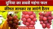 Worlds Most Expensive Fruit: दुनिया का सबसे महंगा अंगूर, कीमत जान उड़ जाएंगे होश | वनइंडिया हिंदी