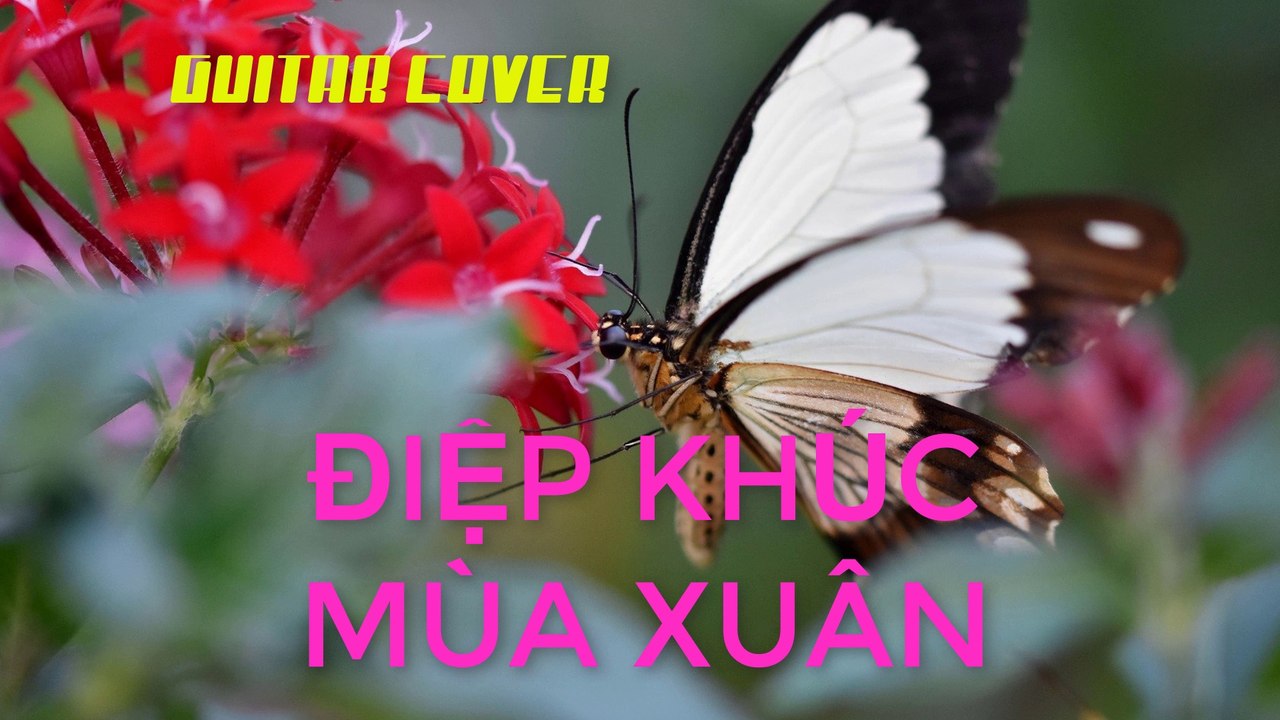 Điệp Khúc Mùa Xuân - Guitar Cover | 3N Music