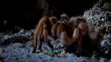 Ταραντούλα - Tarantoula - Μεταγλωττισμένο στα Ελληνικά