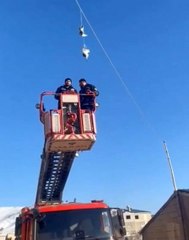 Elektrik tellerinde mahsur kalan güvercinler böyle kurtarıldı