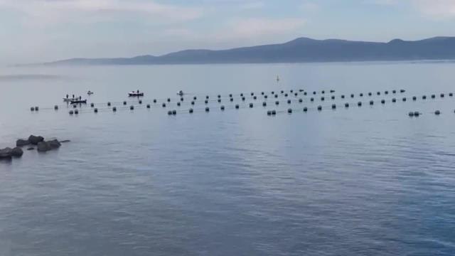 Kurşunlu Mahallesi Muhtarı Sahile Yapılmak İstenen Midye Çiftliğine Tepki Gösterdi: Sanki Çanakkale'ye Mayın Döşenmiş Gibi