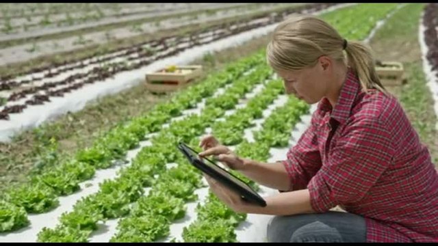 Economia circolare: largo consumo promosso ma si può fare di più