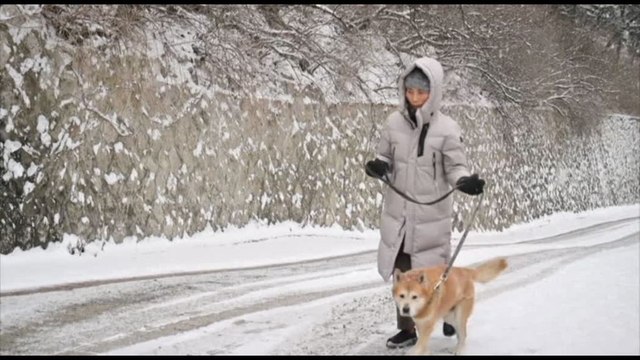 Seul ricoperta dalla neve, allerta in Corea del Sud