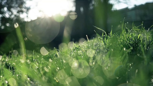 Relaxing music fresh music needed for fresh mind#dailymotion#mudic#relaxingmusic