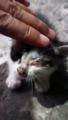 WHAT HAPPENED TO YOUR EYES | SIMPLY MAMU