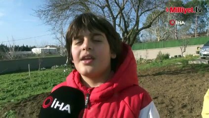 "Efe" isimli horoz, çocuklarla birlikte top oynuyor